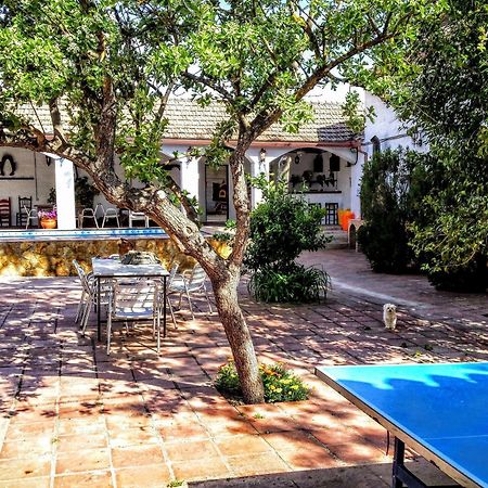 Alojamiento Rural El Cortijuelo Hotel Illora Exterior foto